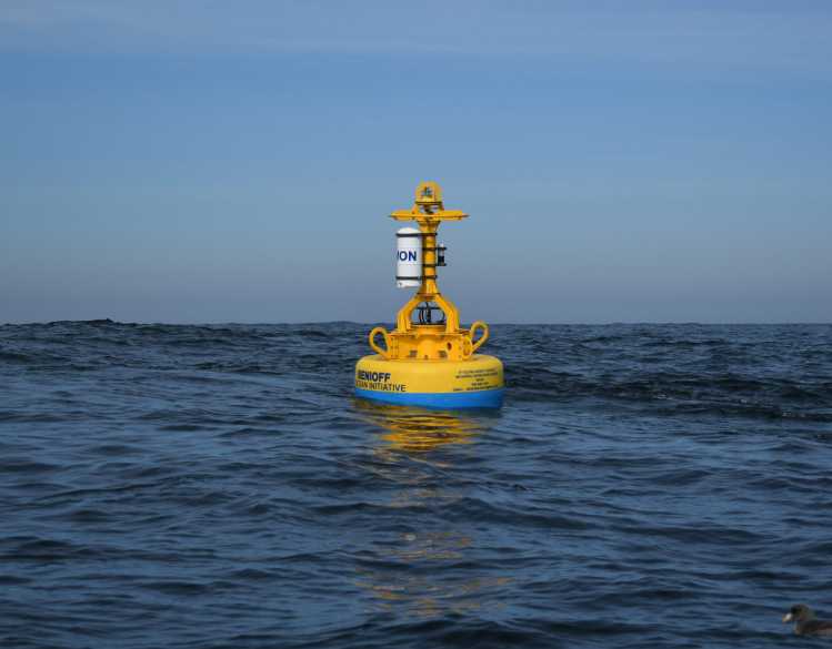 A yellow buoy floats in the water as part of Whale Safe conservation technology.
