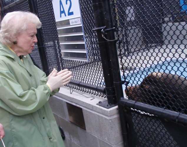 Betty White looks at California sea lion at The Marine Mammal Center