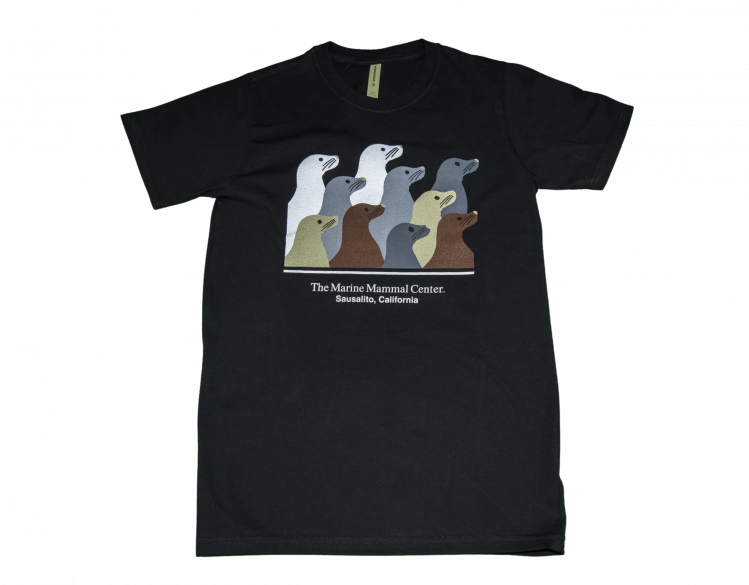 teal t-shirt with The Marine Mammal Center design featuring sea lions