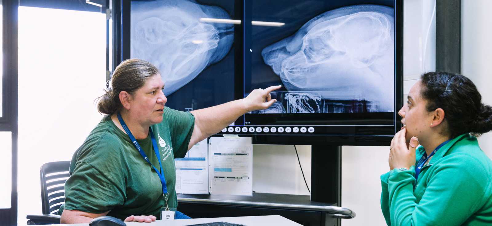 Cara Field explaining an X-ray to a student