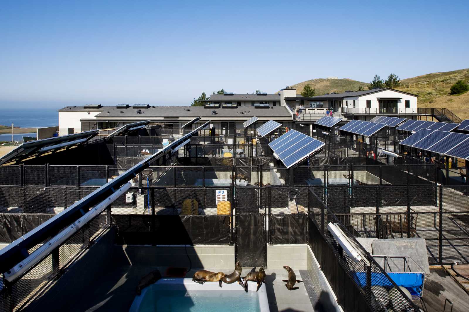 view of Sausalito hospital from the back, showing pens and pools