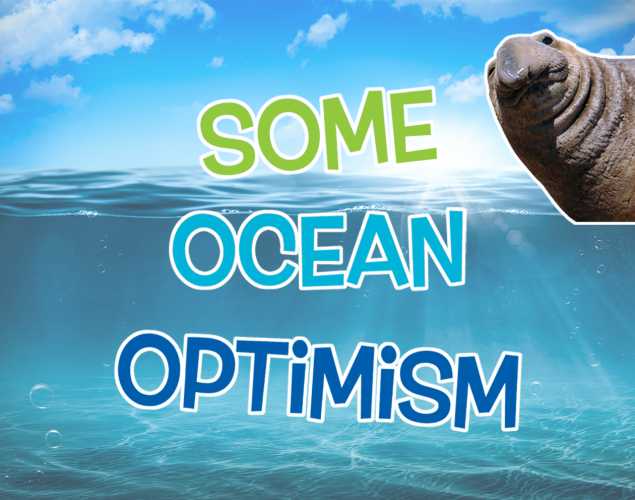 Some Ocean Optimism graphic
