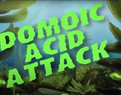 Domoic Acid Attack