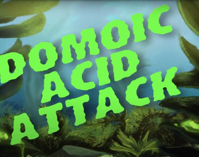 Domoic Acid Attack