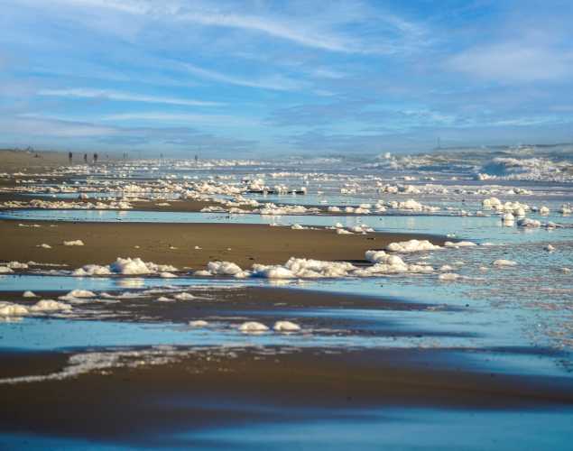 Beach coastline with waves and sea foam from algae bloom in water California