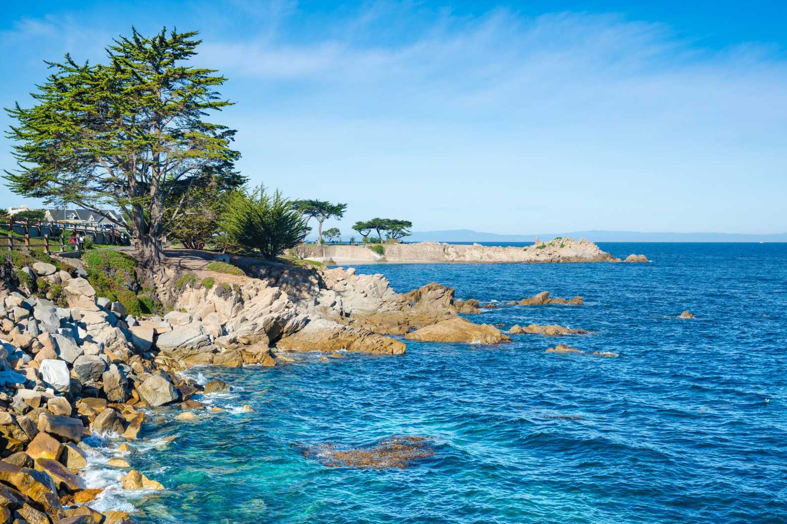 Pacific Grove coastline