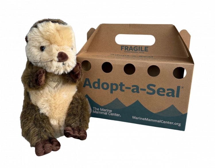 Adopt a Seal otter plush with crate