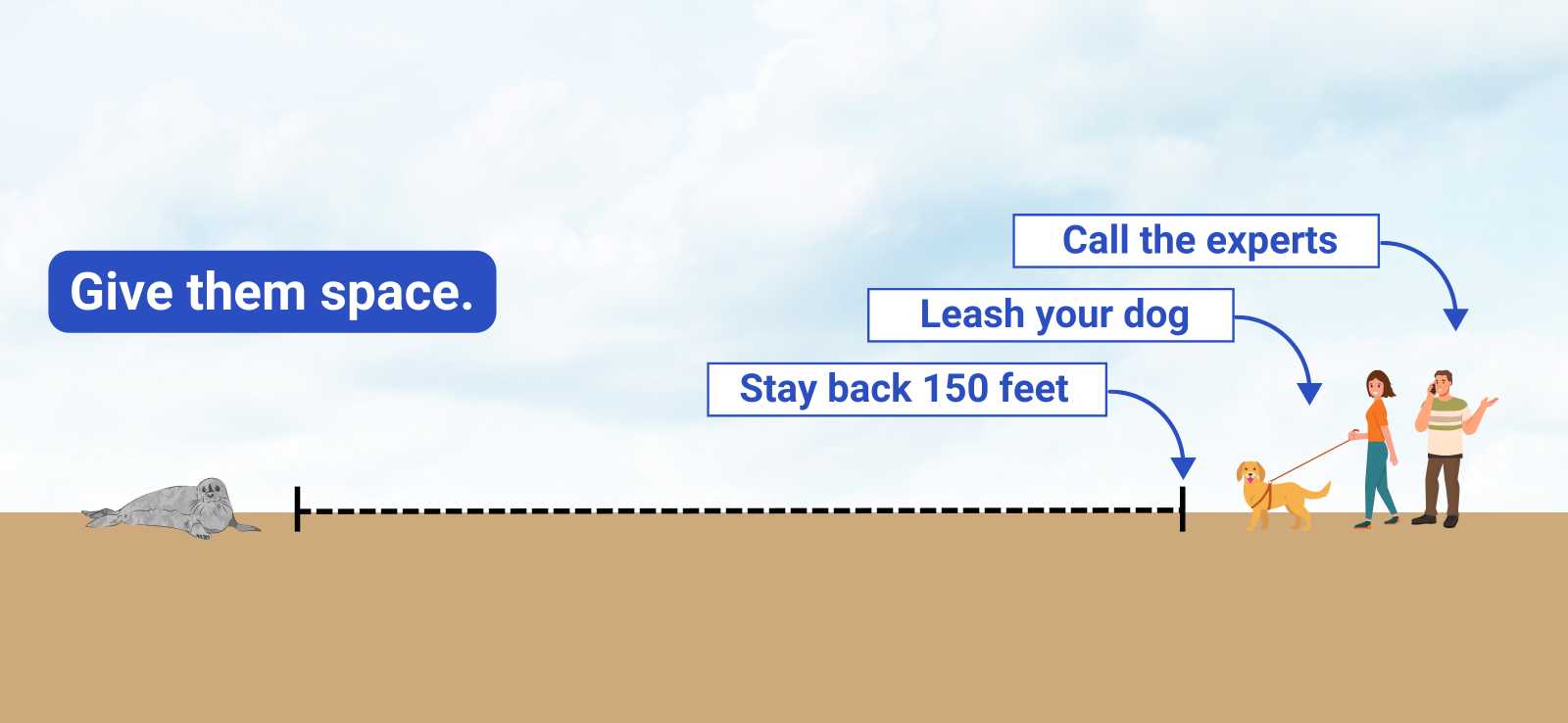 give them space graphic with advice to stay back 150 feet, leash your dog and call the experts