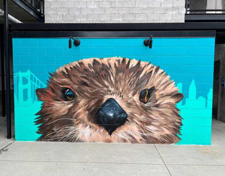 mural on cement wall of a giant sea otter face with cityscape background