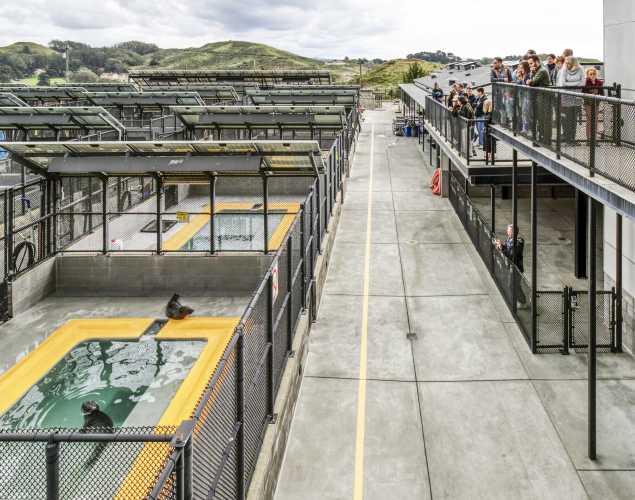 view of patient pens and observation deck at The Marine Mammal Center