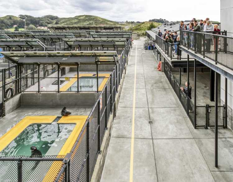 observation deck on the right and hospital pens on the left