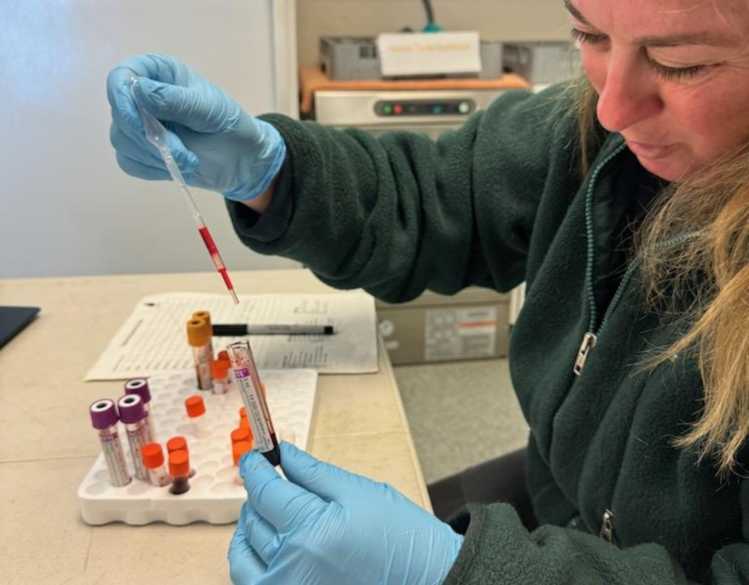 A researcher in a laboratory holds a vial of blood.