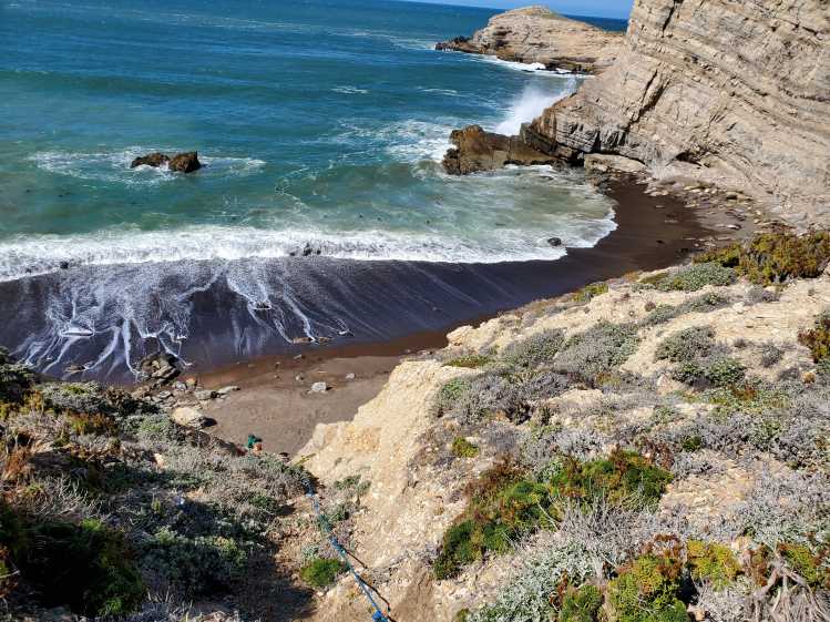 An elephant seal colony rests next to seaside cliffs at a beach on Vandenberg Space Force Base.