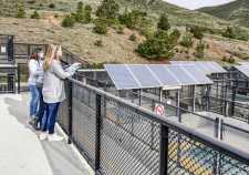 solar panels over patient pens