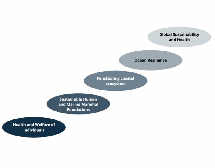 solutions across scale