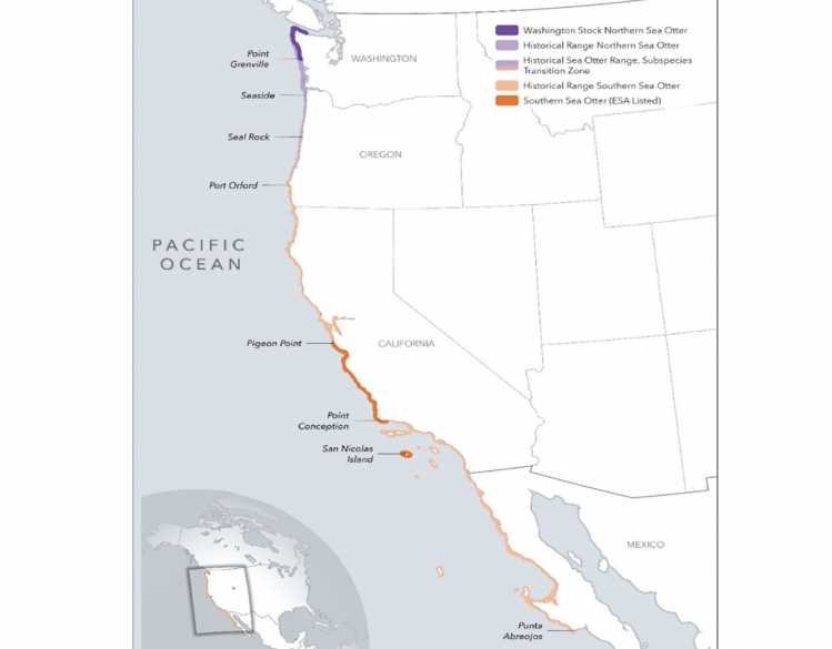 A map showing the current and historical range of southern sea otters along the U.S. Pacific Coast.
