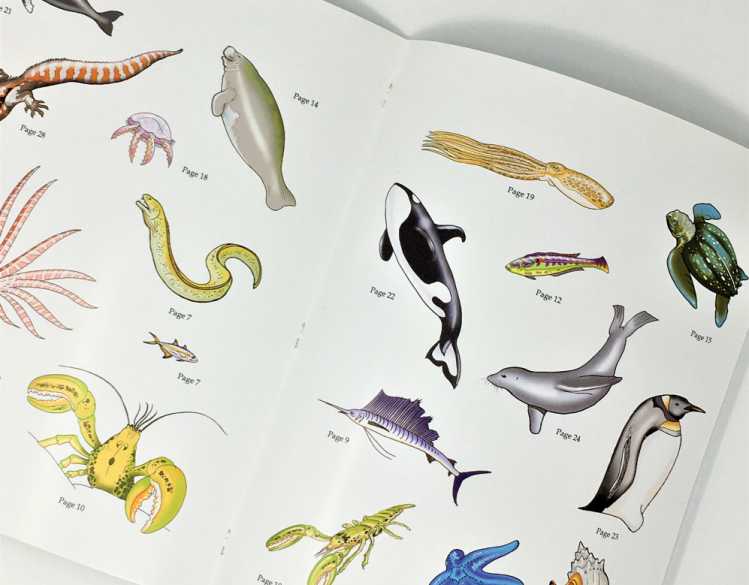 coloring book sticker set