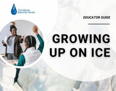 cover of the Growing Up on Ice Educator Guide
