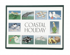 coastal holiday cards