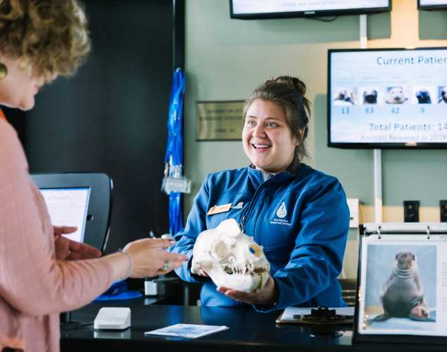 Laura Gill talks with a visitor at The Marine Mammal Center