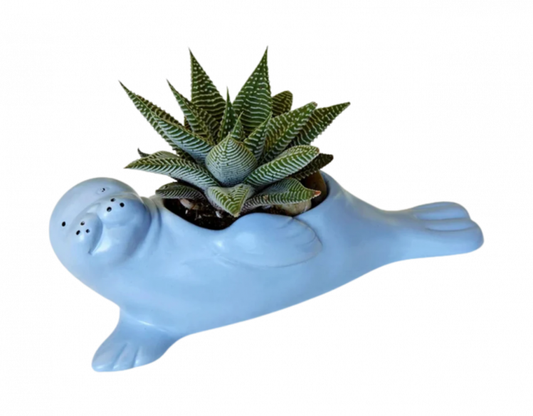 blue seal planter