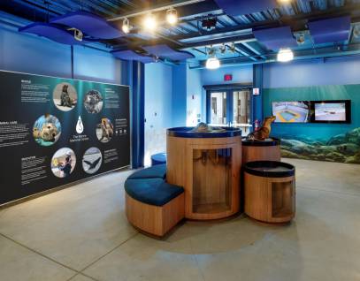 exhibit hall at the marine mammal center