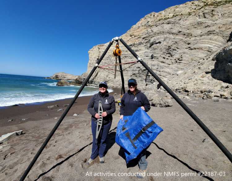 Two researchers stand on a beach holding a blue tarp next to a large tripod.