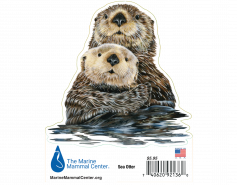 Sea Otter Sticker