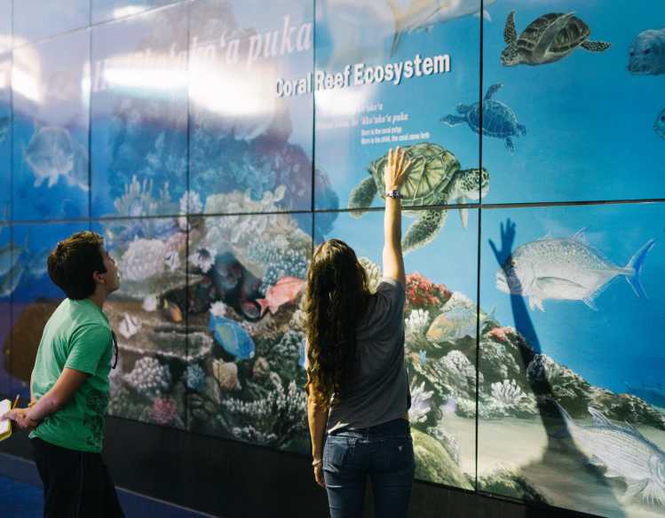 two students look up at a giant coral reef ecosystem display