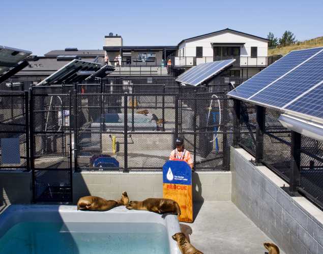 Sausalito hospital pens and volunteer