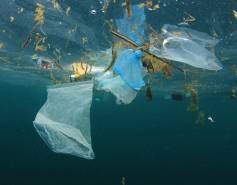 plastic debris floating just under the surface of the water
