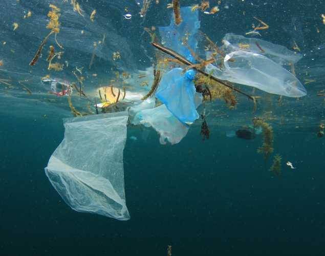 plastic debris floating just under the surface of the water