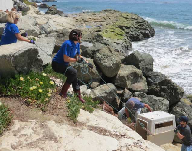 MBO crew carrying a crate up a cliff