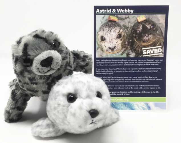 harbor seals Astrid and Webby Adopt-a-Seal package with two stuffed animals