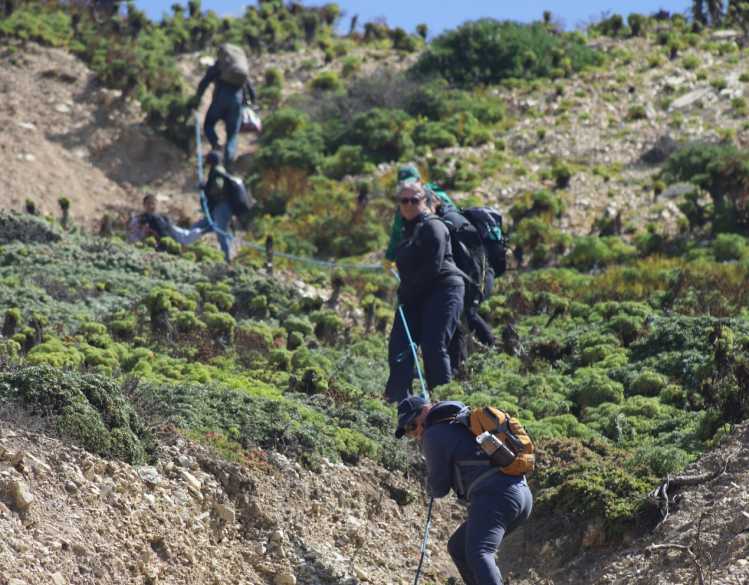 Researchers hold onto ropes as they climb down a steep cliff.