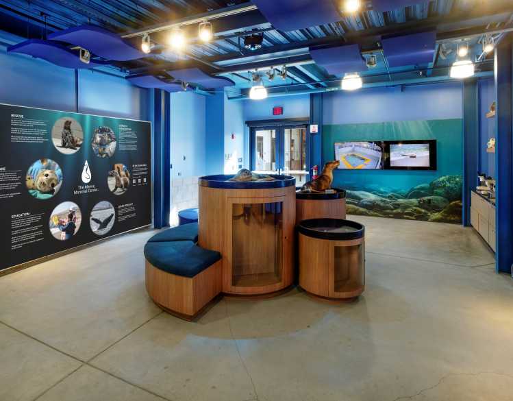 multiple displays visible inside the Exhibit Hall