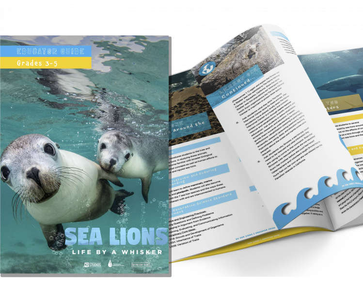 Life By a Whisker curriculum materials