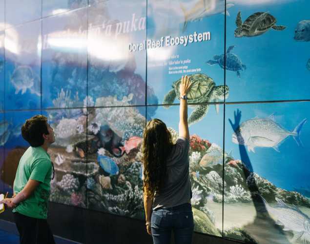students point to a coral reef display
