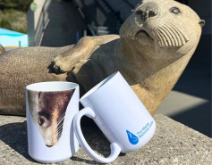 Logo Sea Lion Face Mug
