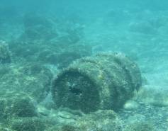 rusty barrel underwater and covered with algae