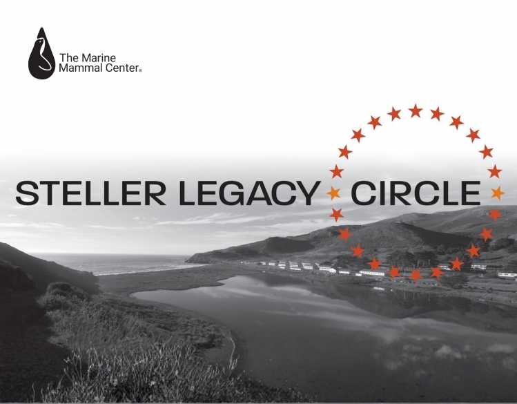 Steller Legacy Circle