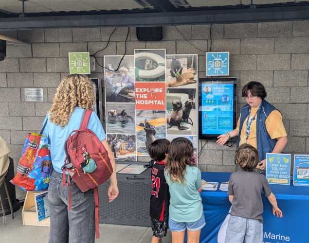 A student stands behind an education table near images of marine mammals, talking to three children and one adult. 