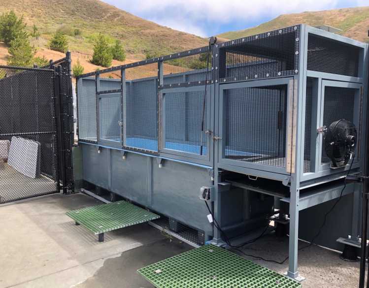 A sea otter tote, a rehabilitation structure, with a pool and dry haul-out area at The Marine Mammal Center.