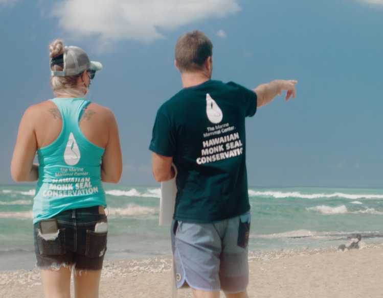 two volunteers in Hawaiian monk seal conservation shirts point toward a seal on the beach