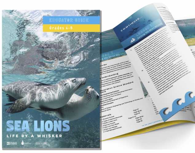 Life By a Whisker Education Guide - Grades 6-8