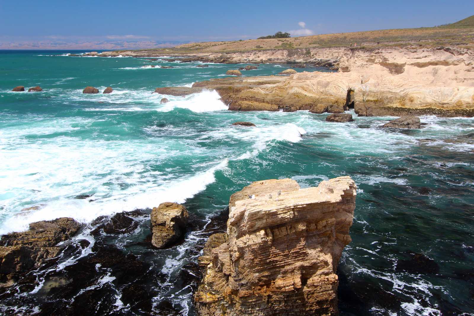 Montana de Oro coast in San Luis Obispo