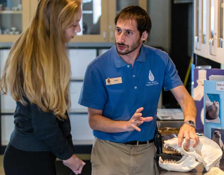 An educator at The Marine Mammal Center shows a visitor an animal’s skull.