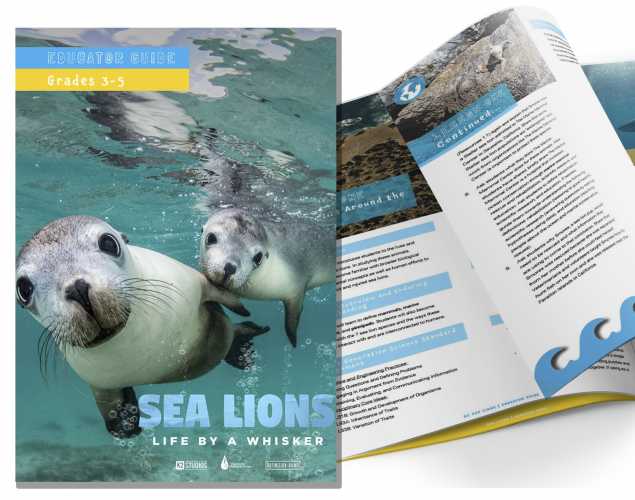 Life By a Whisker Education Guide - Grades 3-5