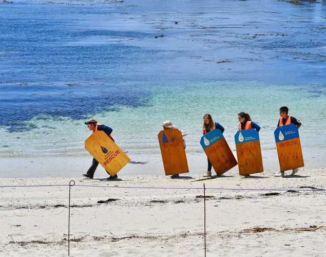 trained responders head toward an animal (off-screen) carrying safety boards