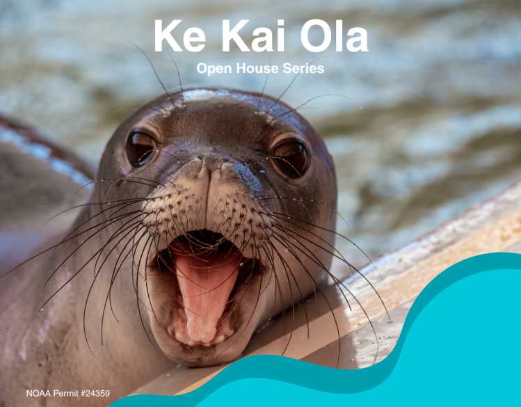 Ke Kai Ola Open House Series